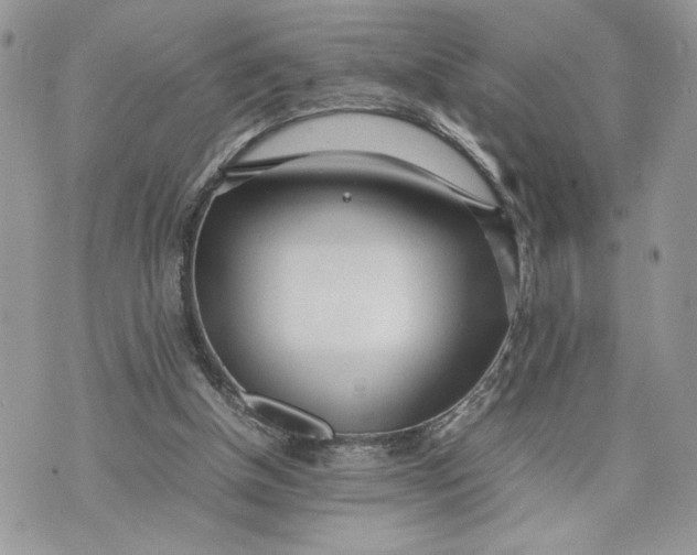 X0000075360154200609291509