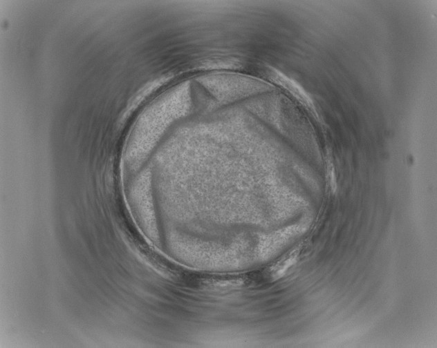 X0000075360155200609291510