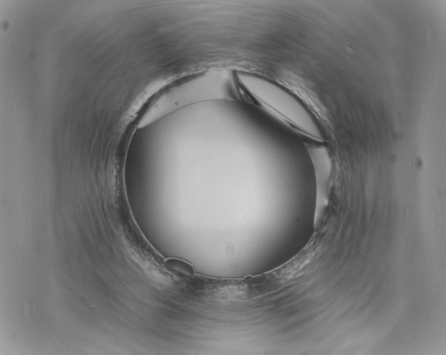 X0000075360156200609291510