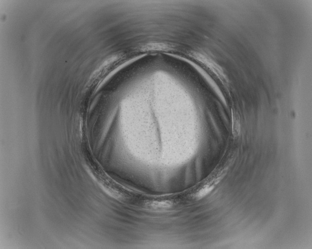 X0000075360157200609291510