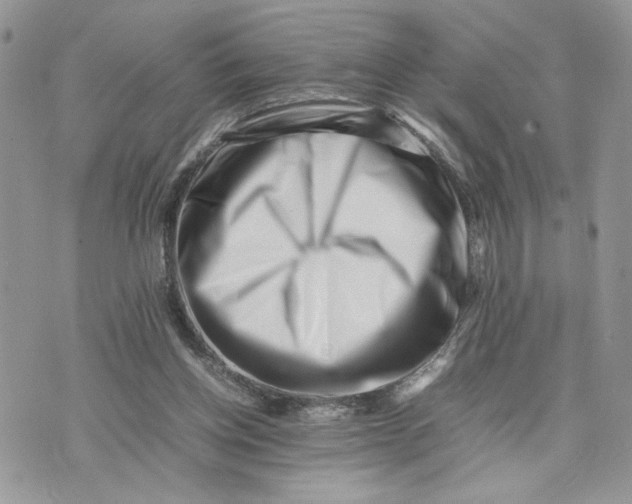 X0000075360158200609291510