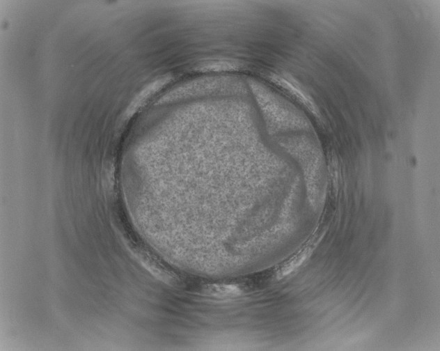 X0000075360159200609291510