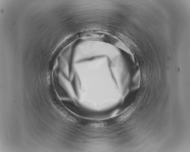 X0000075360160200609291510