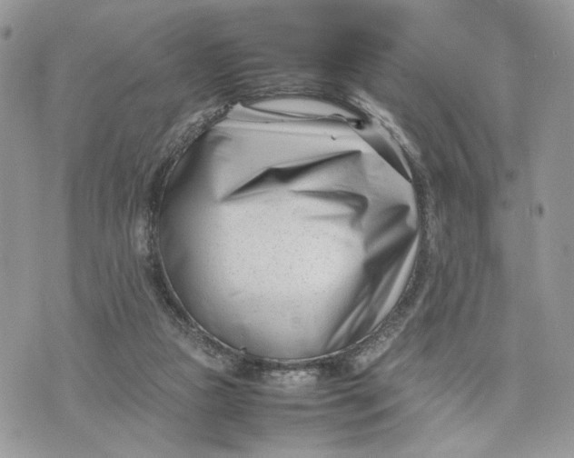 X0000075360161200609291510