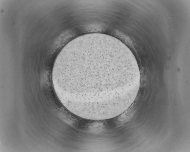 X0000075360162200609291510