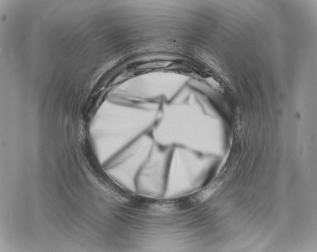 X0000075360164200609291510