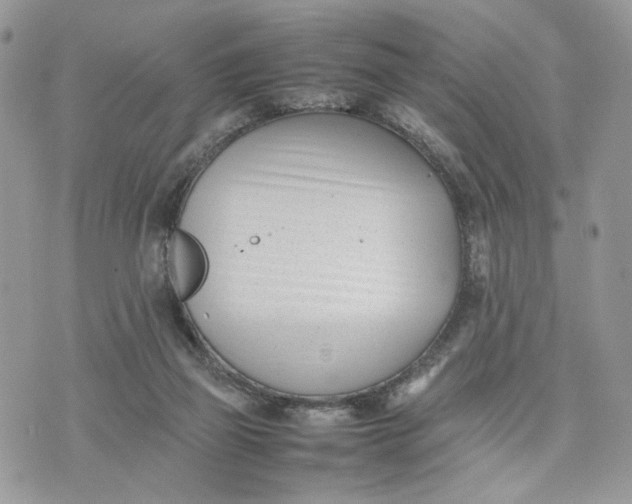 X0000075360165200609291510