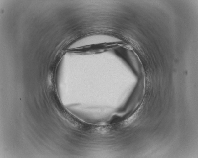 X0000075360166200609291510