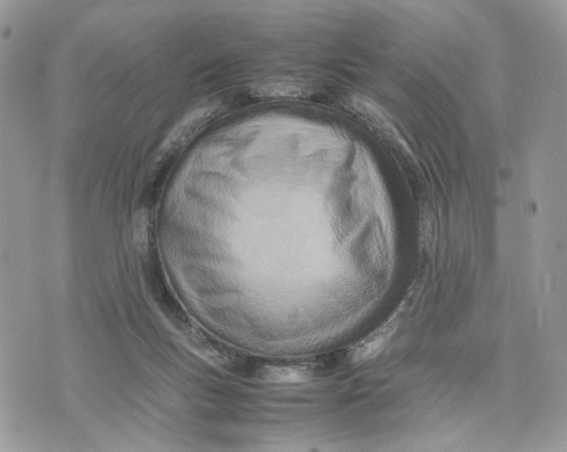 X0000075360167200609291510