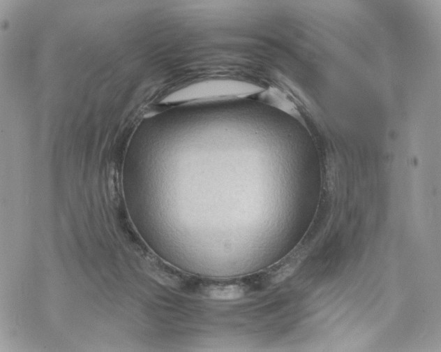 X0000075360169200609291510