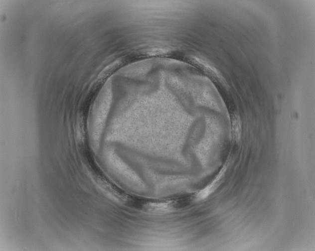 X0000075360170200609291510