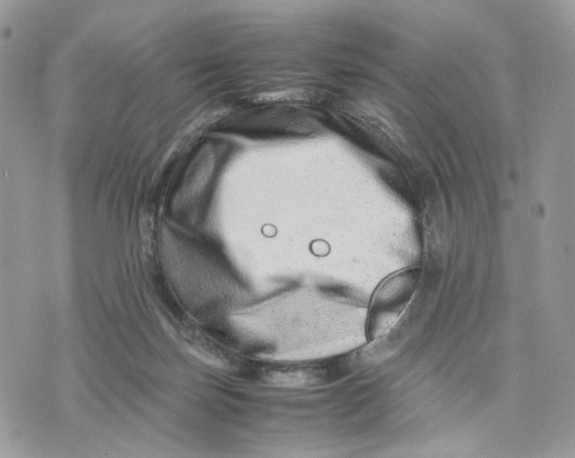 X0000075360171200609291510