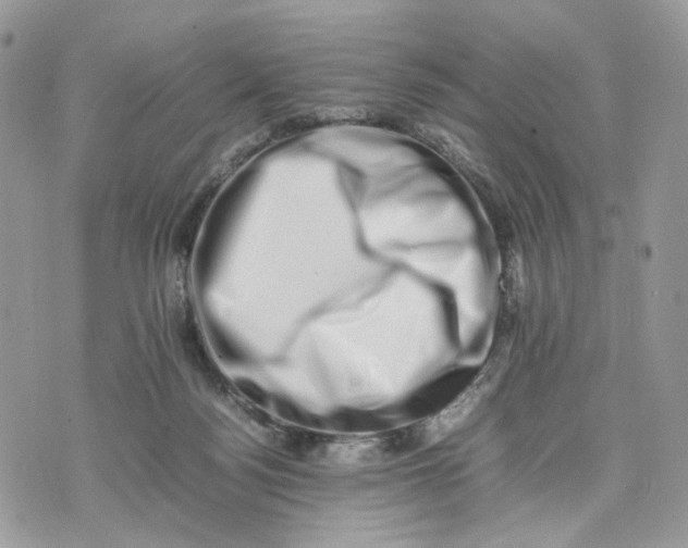 X0000075360172200609291510