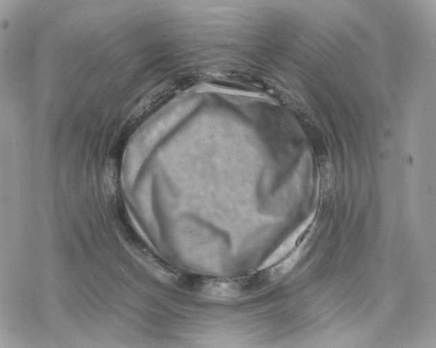 X0000075360174200609291510