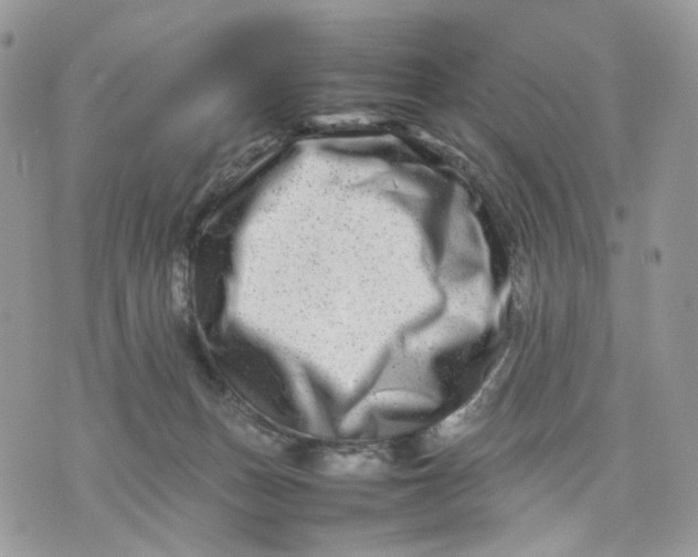 X0000075360175200609291510