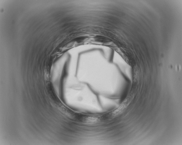 X0000075360176200609291510