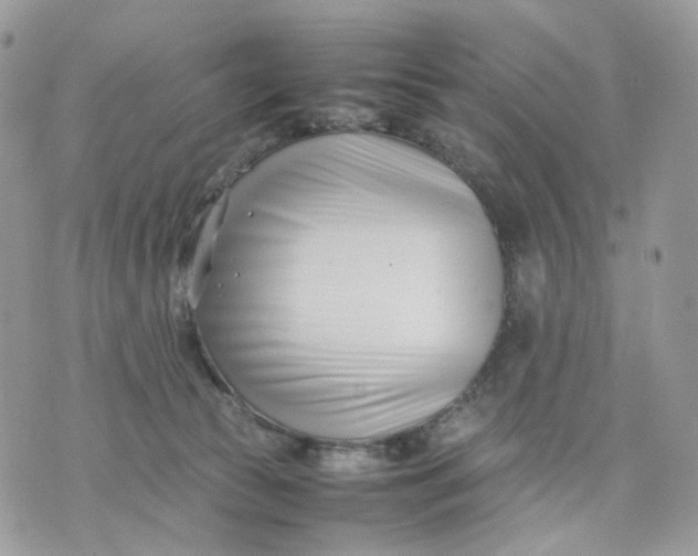 X0000075360177200609291510