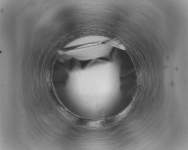 X0000075360178200609291510