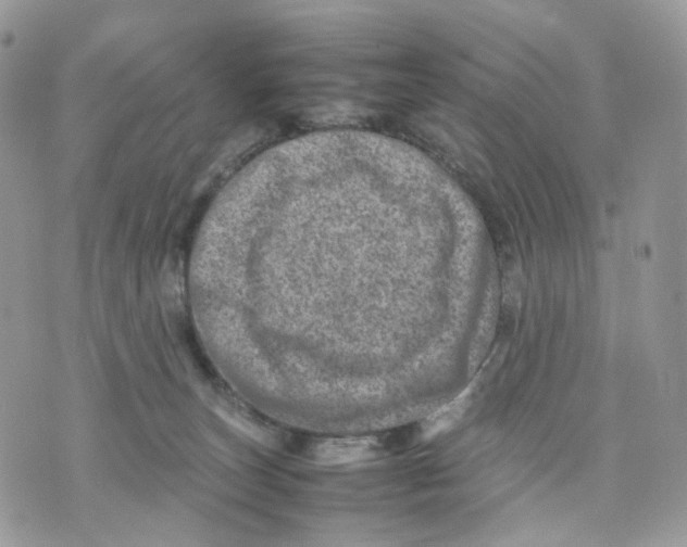 X0000075360179200609291510