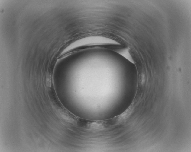 X0000075360180200609291510