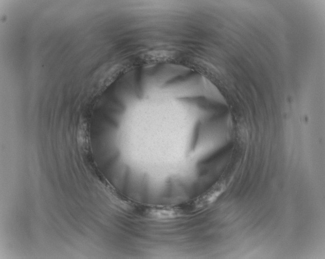 X0000075360181200609291510