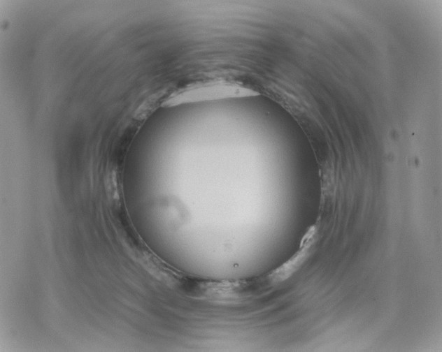 X0000075360182200609291510