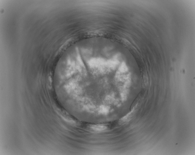 X0000075360183200609291510