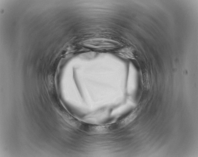 X0000075360184200609291510