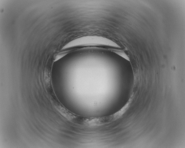 X0000075360186200609291510