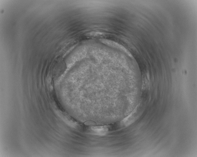 X0000075360187200609291510