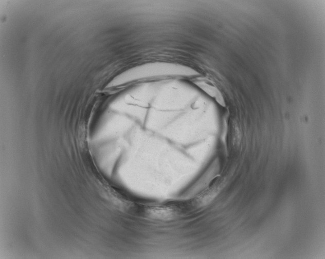 X0000075360189200609291510