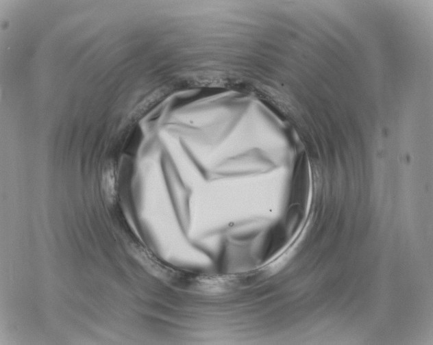 X0000075360190200609291510