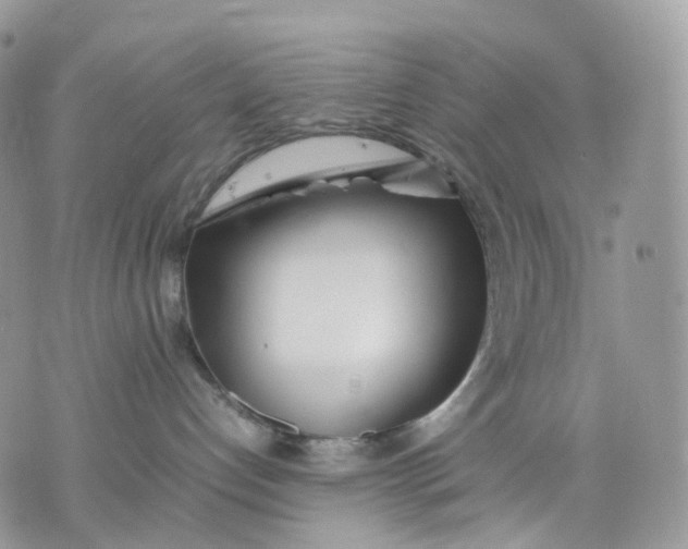 X0000075360192200609291510