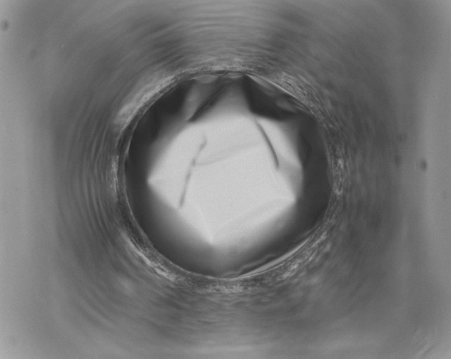 X0000075360194200609291509