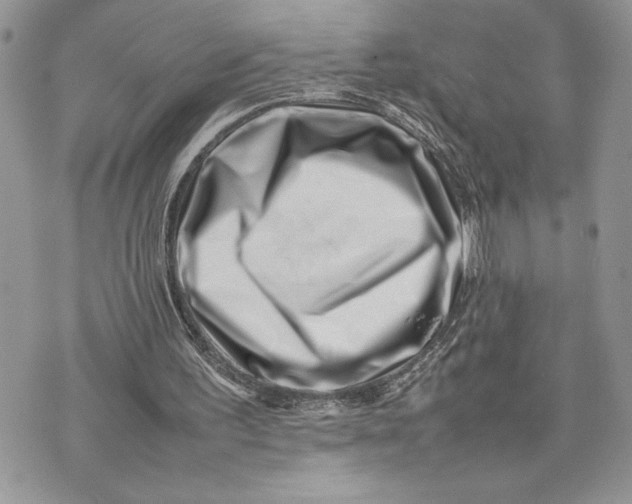 X0000075360195200609291509