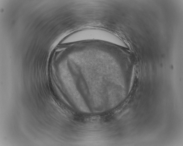 X0000075360196200609291509