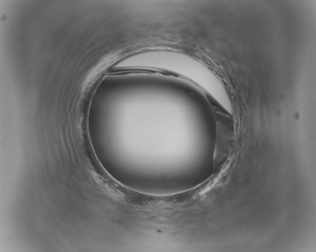 X0000075360197200609291509