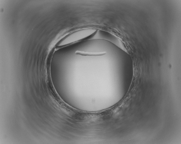 X0000075360198200609291509