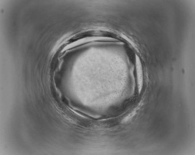 X0000075360199200609291509