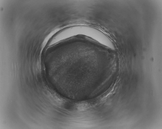 X0000075360200200609291509