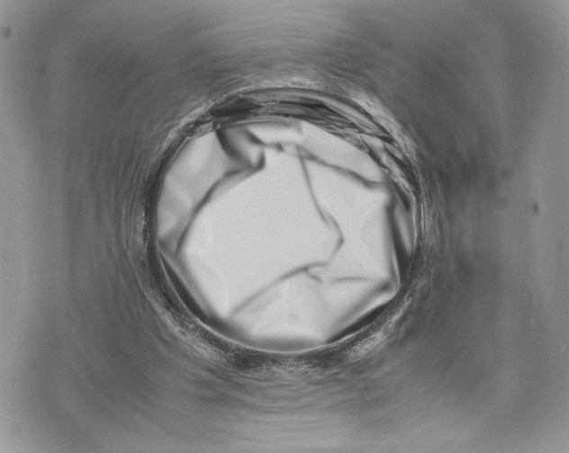 X0000075360201200609291509