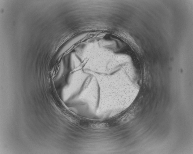 X0000075360202200609291509