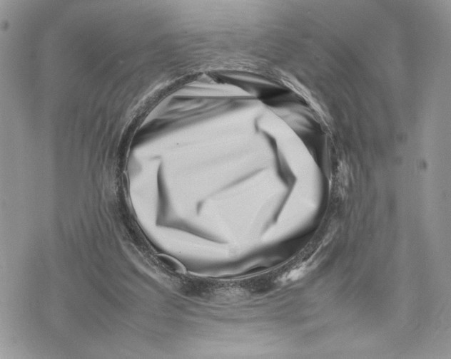 X0000075360203200609291509