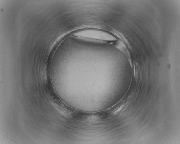 X0000075360204200609291509