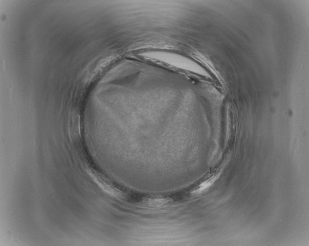 X0000075360205200609291509