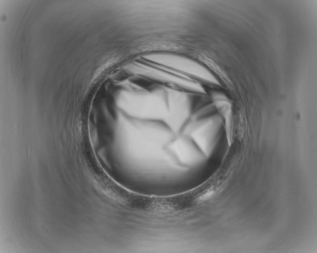 X0000075360207200609291509