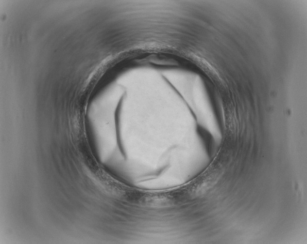 X0000075360208200609291509