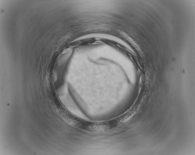 X0000075360209200609291509