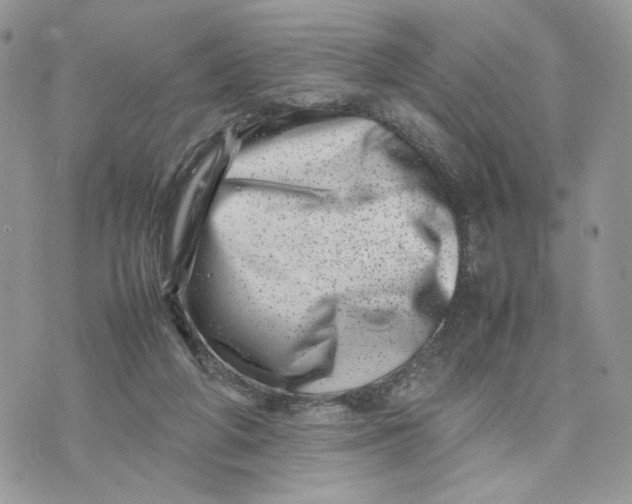 X0000075360210200609291509