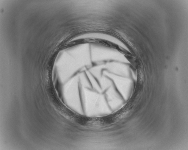 X0000075360211200609291509